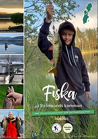 Fiska i Strömsunds kommun 2024