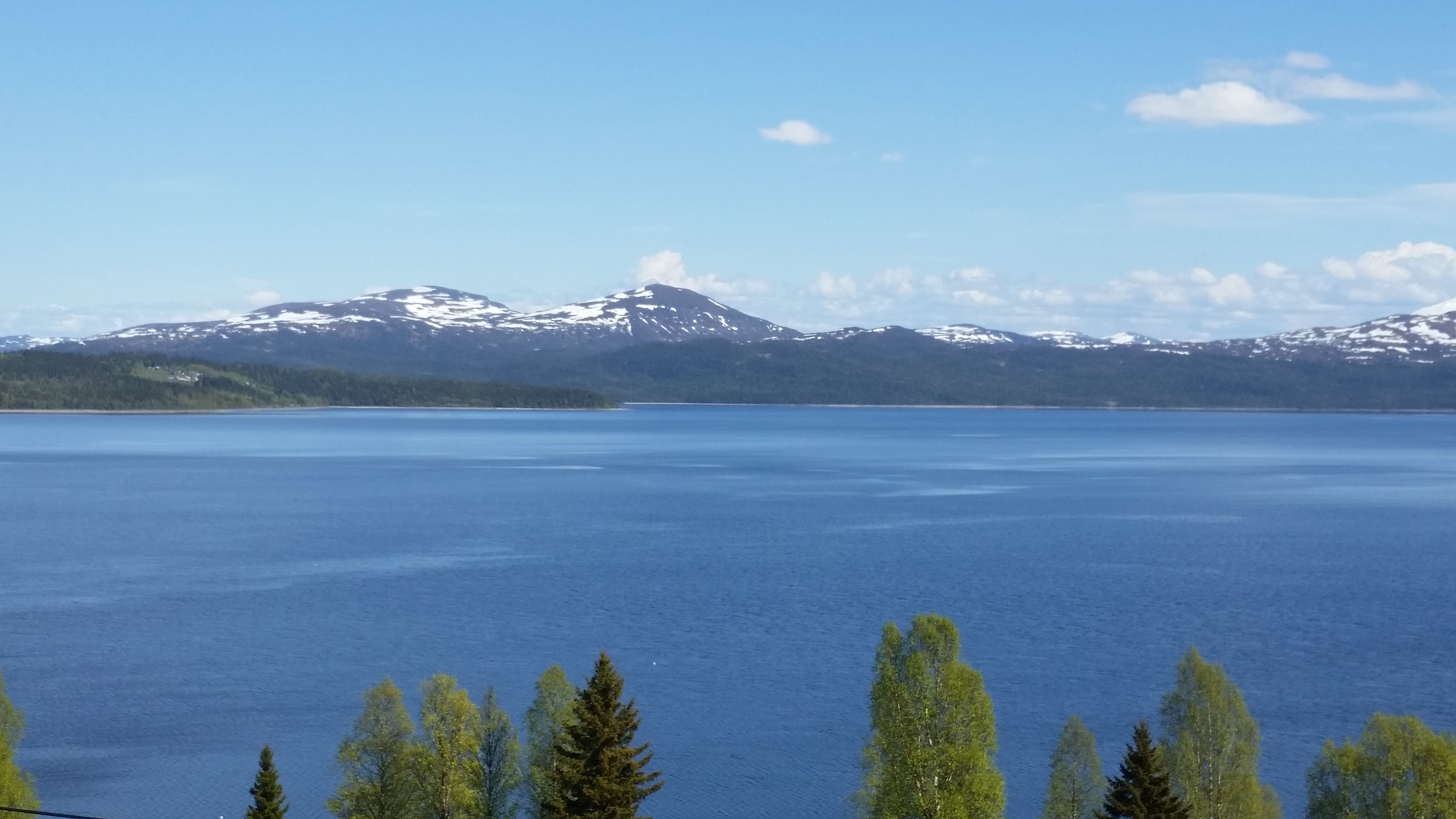 Blåsjön juni.