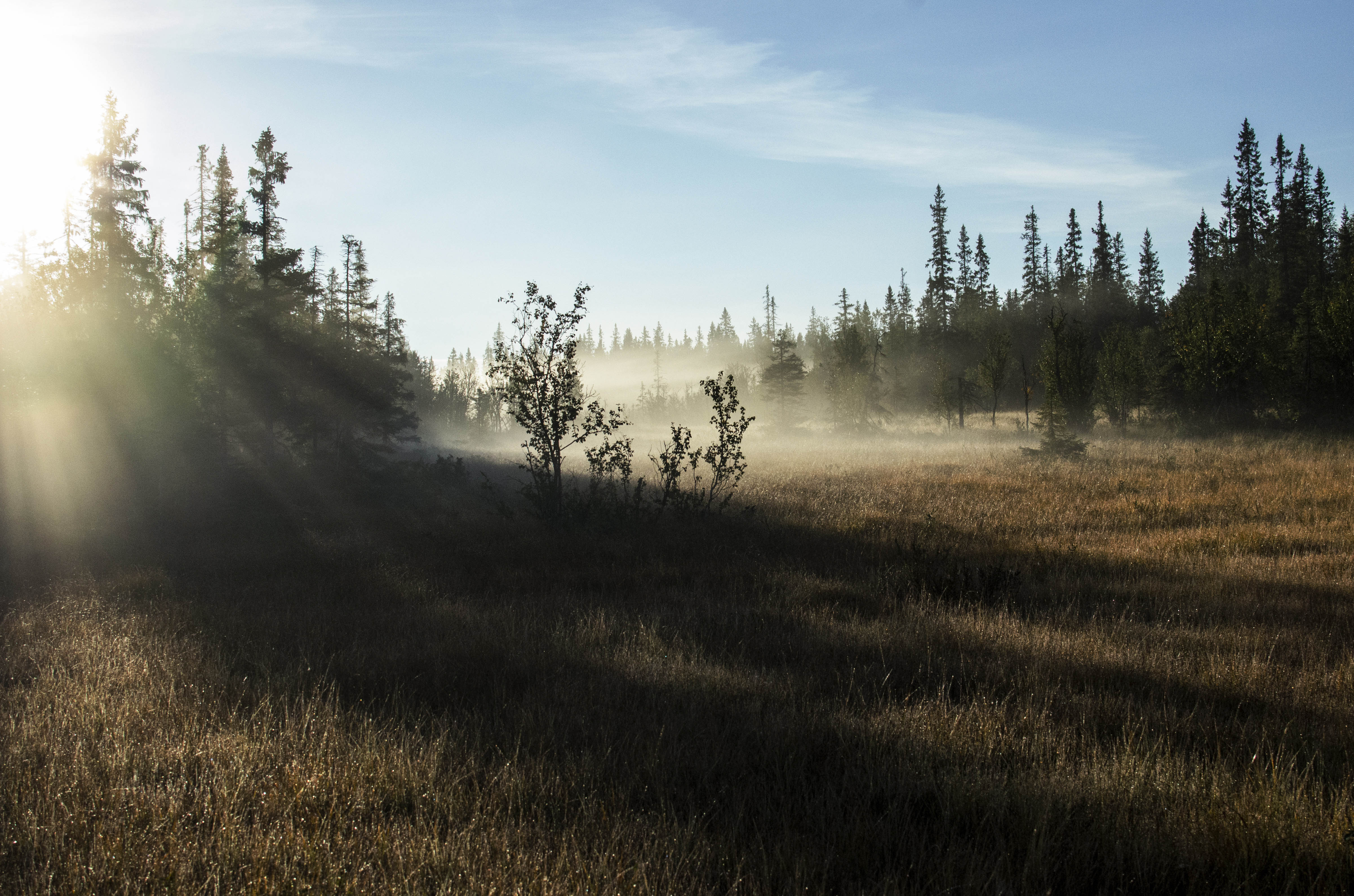 Tagen mot kvarnbergsvattnet 140907, när morgondimman lyfter