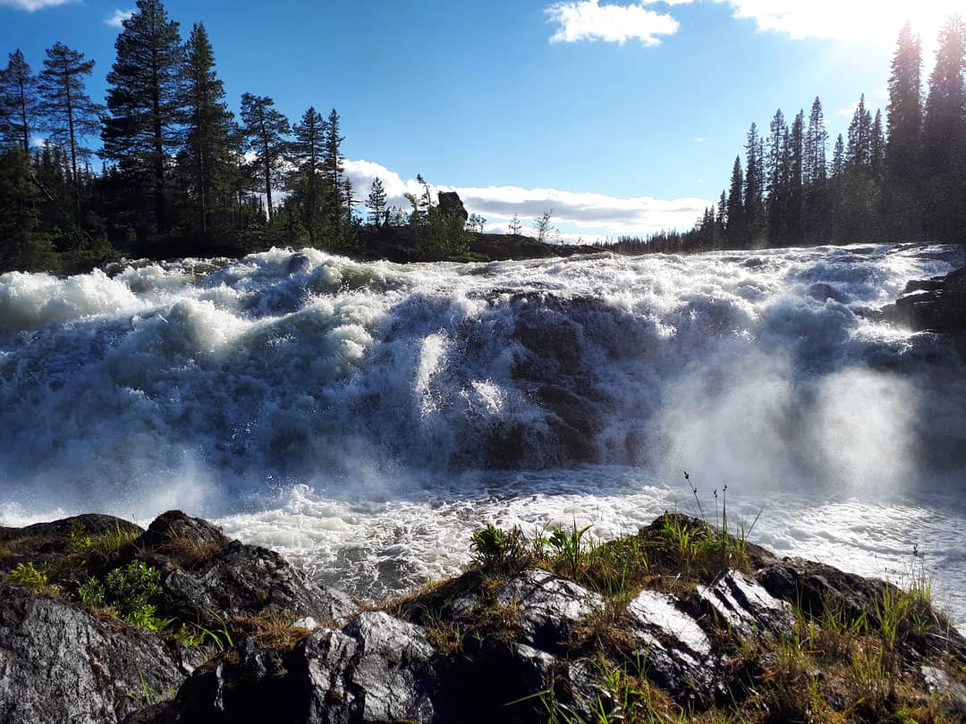 Dimforsen, naturkrafter