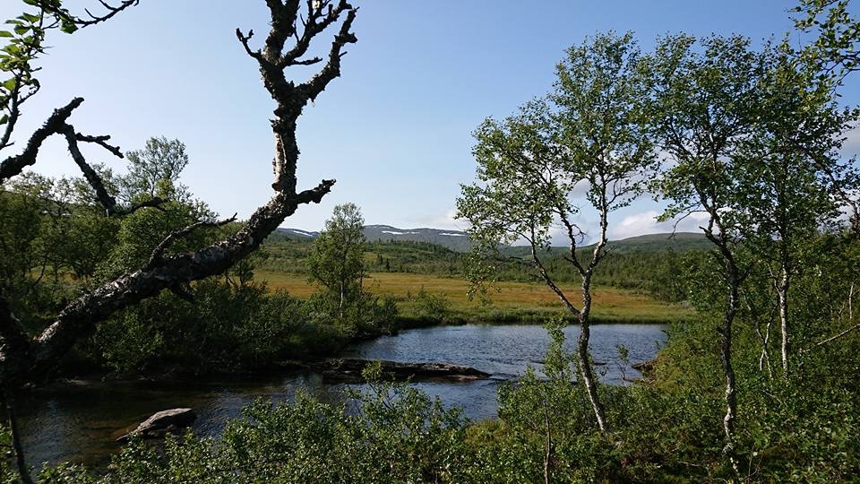 Blåsjöfjället