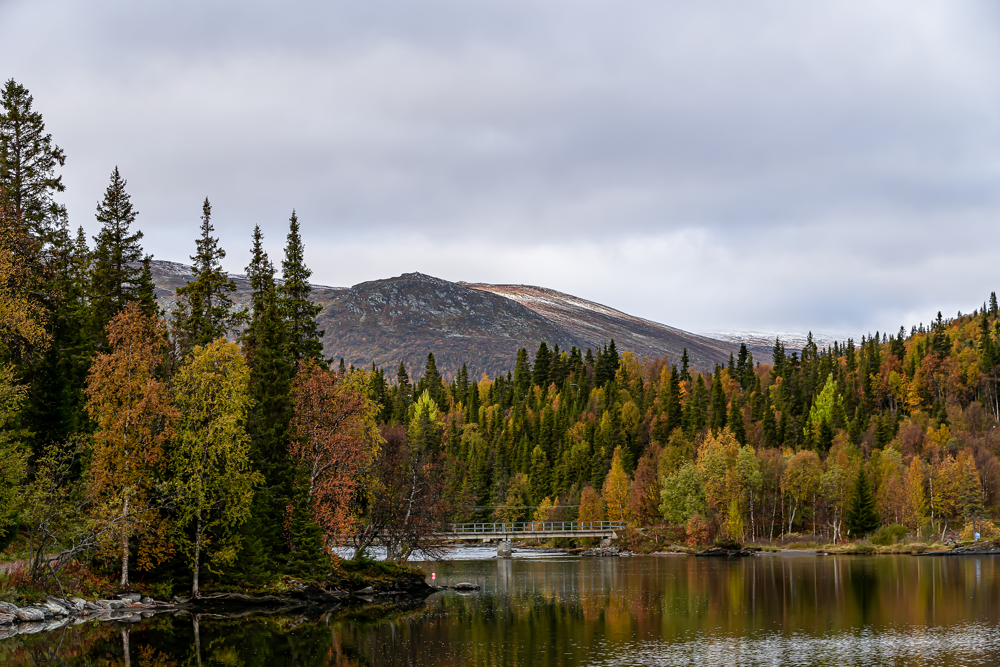 Berg vid Fatmomakke.