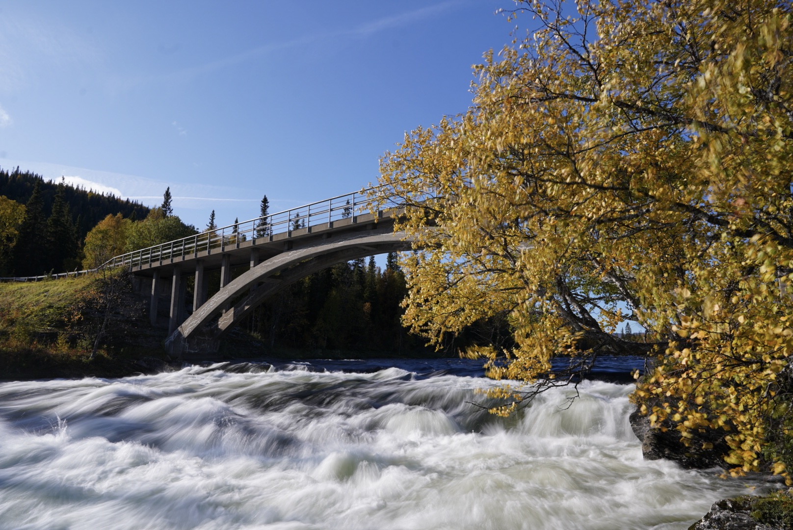 22 sep 2019, Vildmarksvägen Ankarvattnet, Hösten