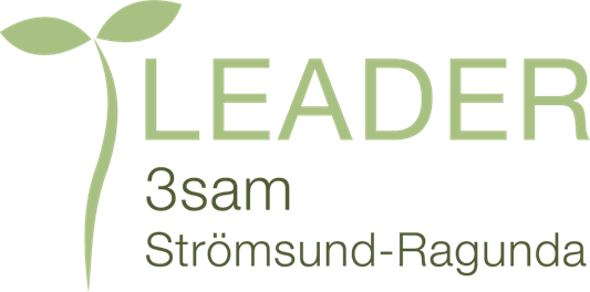 Leader 3sam