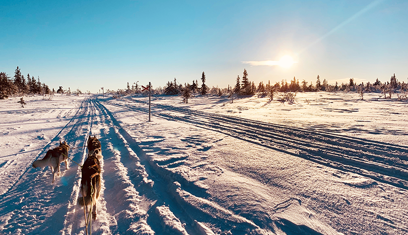 Hundspann på fjäll