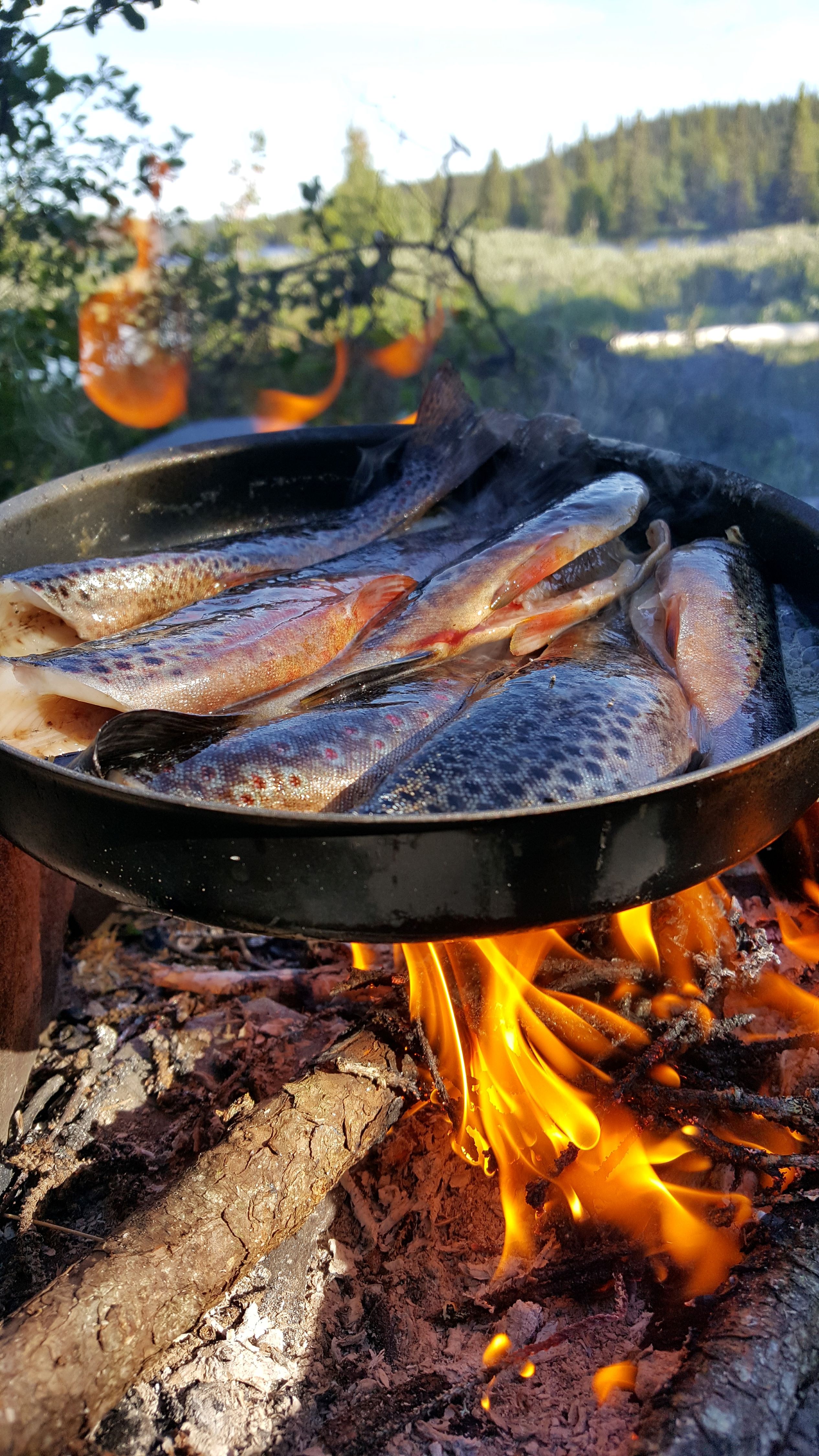  Jougdadalens naturreservat, öring till middag.