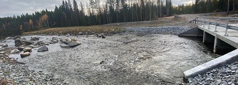 Bergögrenen Faxebygden.