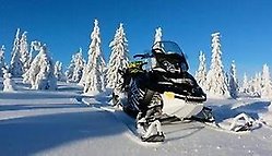 Snötyngda granar med skoter i förgrunden.