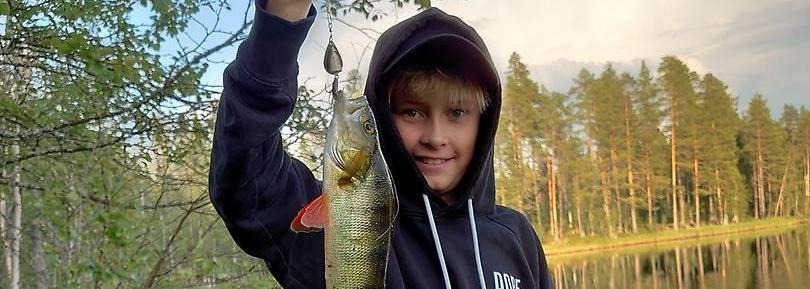 Storabborre, Grenåskilen