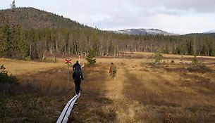 Människor går efter led i fjällen.